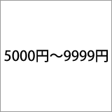 5000円～9999円